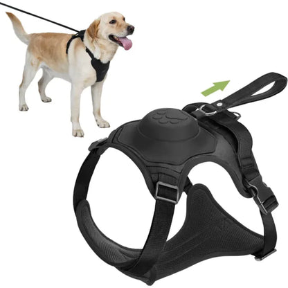 Petoxie™ Dog Harness and Retractable Leash