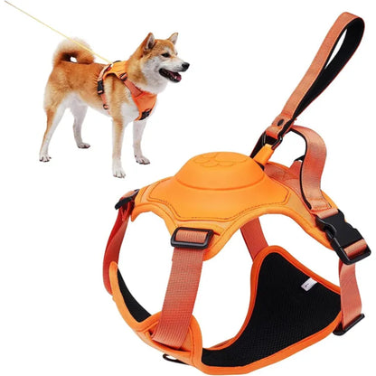 Petoxie™ Dog Harness and Retractable Leash